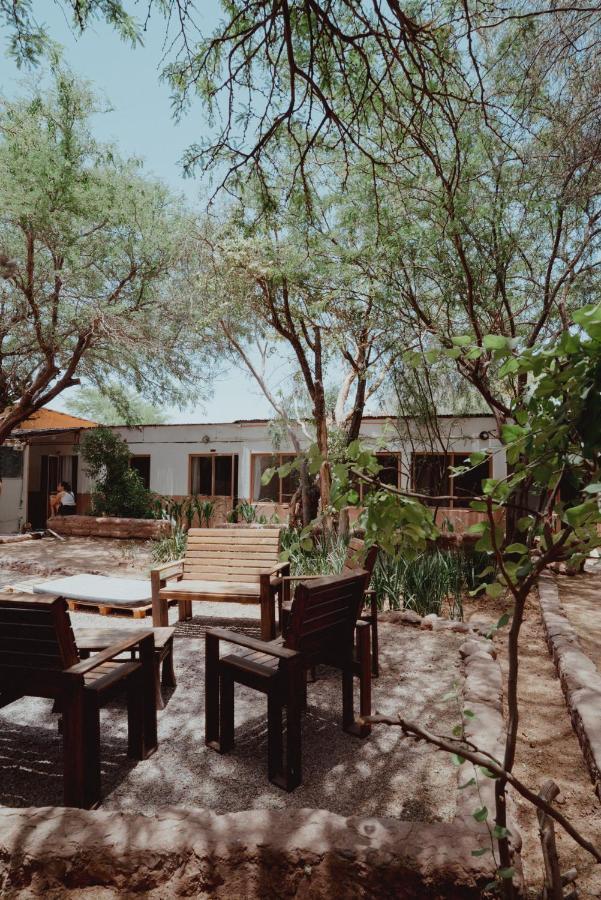 Vientos - La Yareta Pensionat San Pedro de Atacama Eksteriør billede